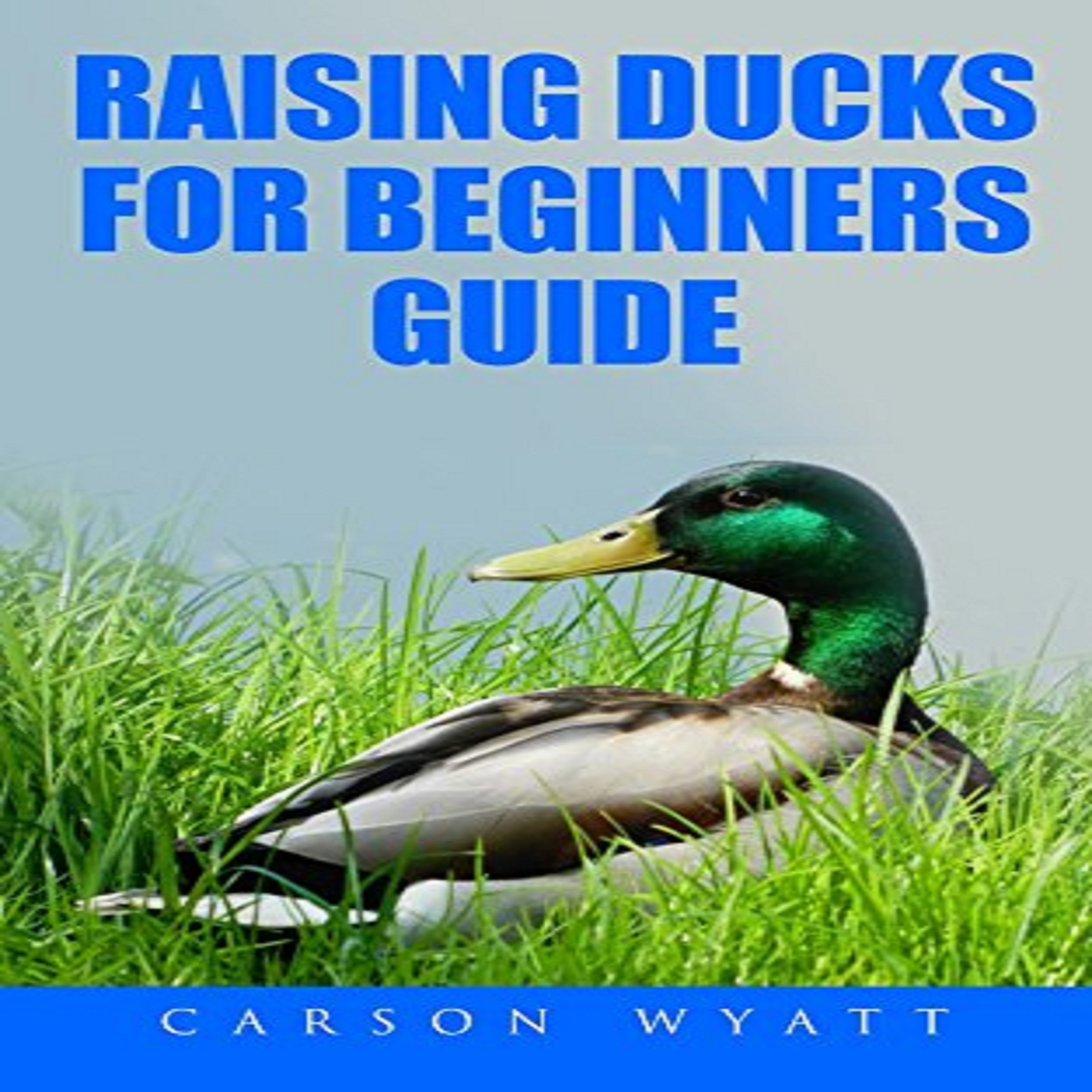 Cover art for Raising Ducks for Beginners Guide