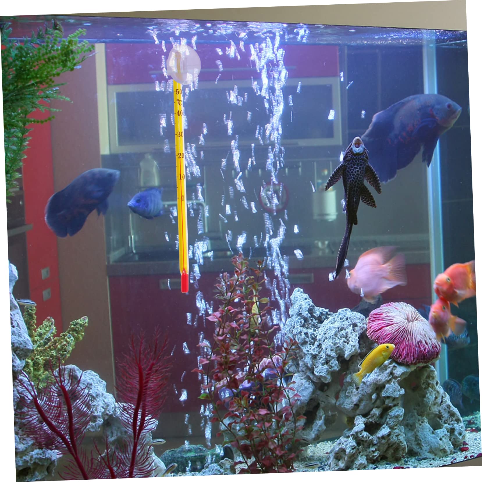 Kisangel 20piezas De Acuario Medidor De Temperatura Para Peceras De Agua Dulce y Salada Compacto Para Monitorear La Temperatura Terrarios y Acuarios