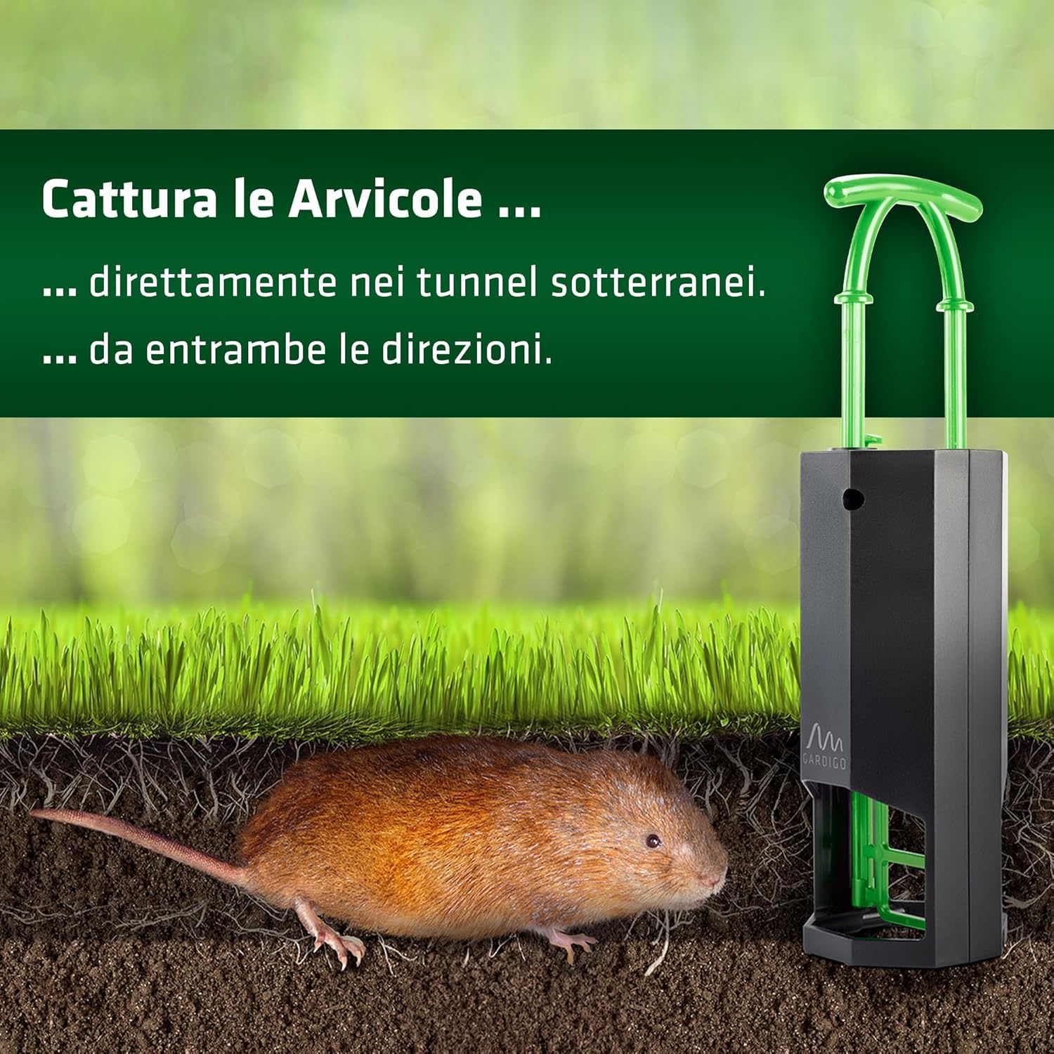 GARDIGO® 4x Trappole per Talpe + Accessori: Foraterra e Sonda | Anti Talpa da Giardino | Trappola per Arvicole Riutilizzabili, Cattura Visibile | Scaccia Talpe
