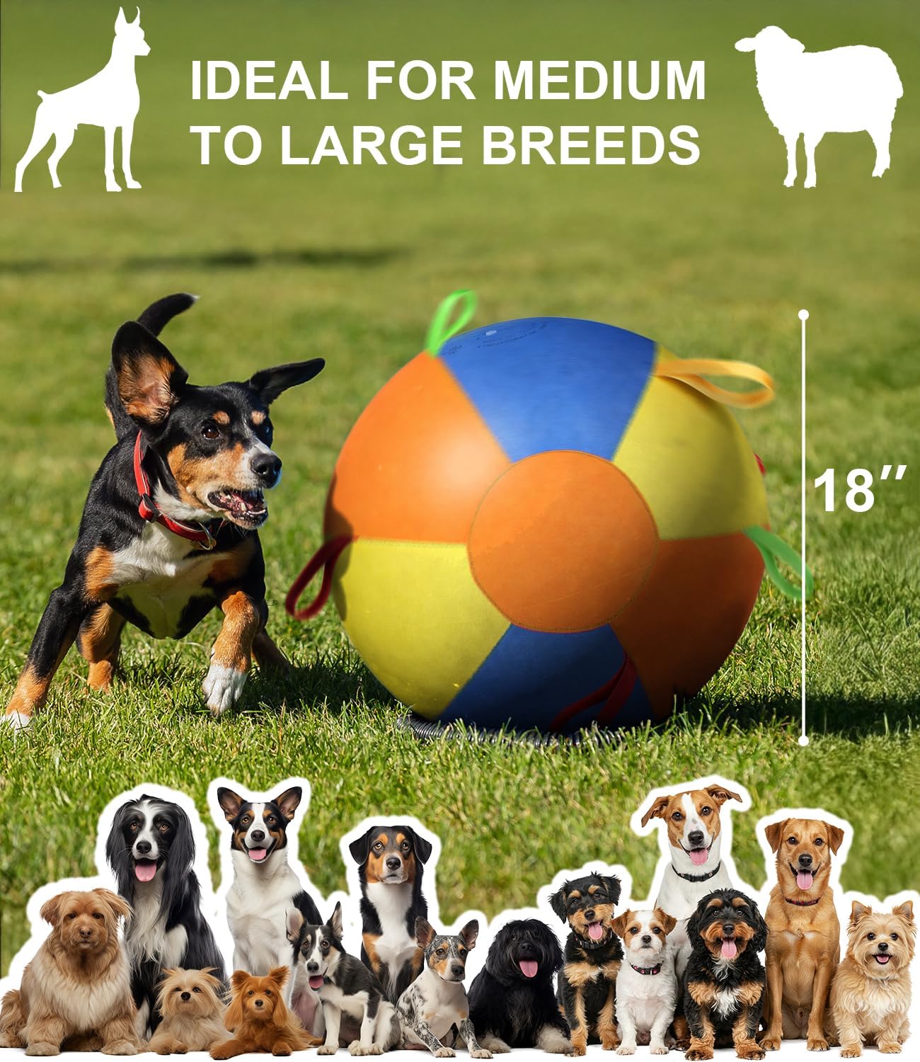 Herding Ball for Dogs, Dog Training Ball with Handle for Outdoor Play, Durable Training Toy Ball for Australian Shepherd, Border Collie, Cattle Dog, Large Breed, Ideal for Herding Dog Exercise, 18in
