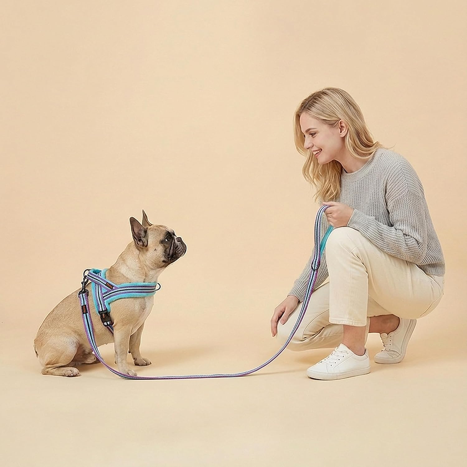Didog Soft Flannel Padded Dog Vest Harness, No Pull/Quick Fit Reflective Dog Strap Harness, Easy for Training Walking (S:Chest 18-22", Mixed-Blue)