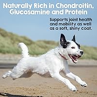 Vista 3 de Riley's Steer Bully Sticks para perros pequeños a medianos – Premio para perros de un solo ingrediente, fácilmente digeribles, 100% palitos de carne