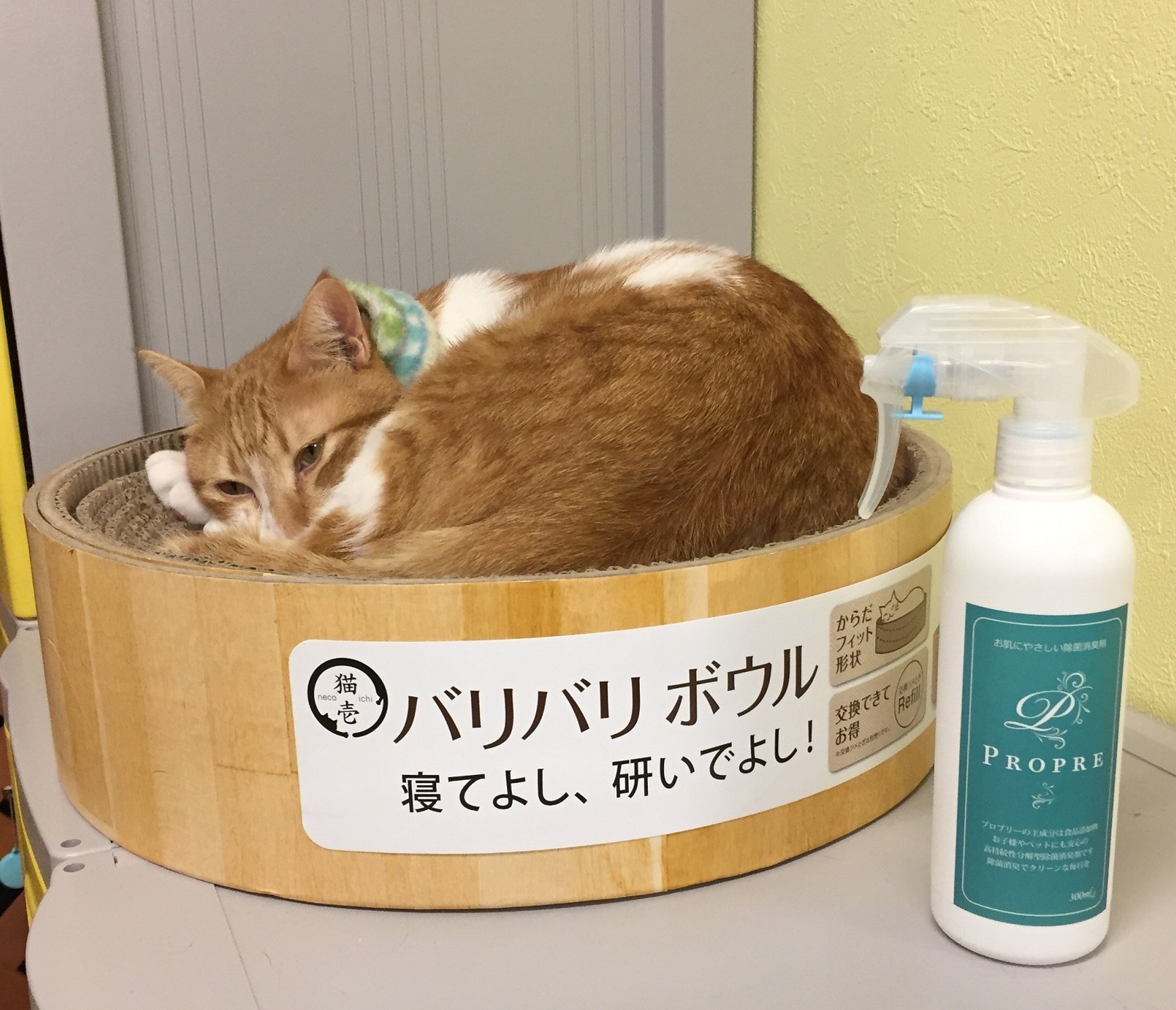 Amazon.co.jp: Propre (プロプリ―) 光触媒除菌消臭剤 ≪夏の服についた 