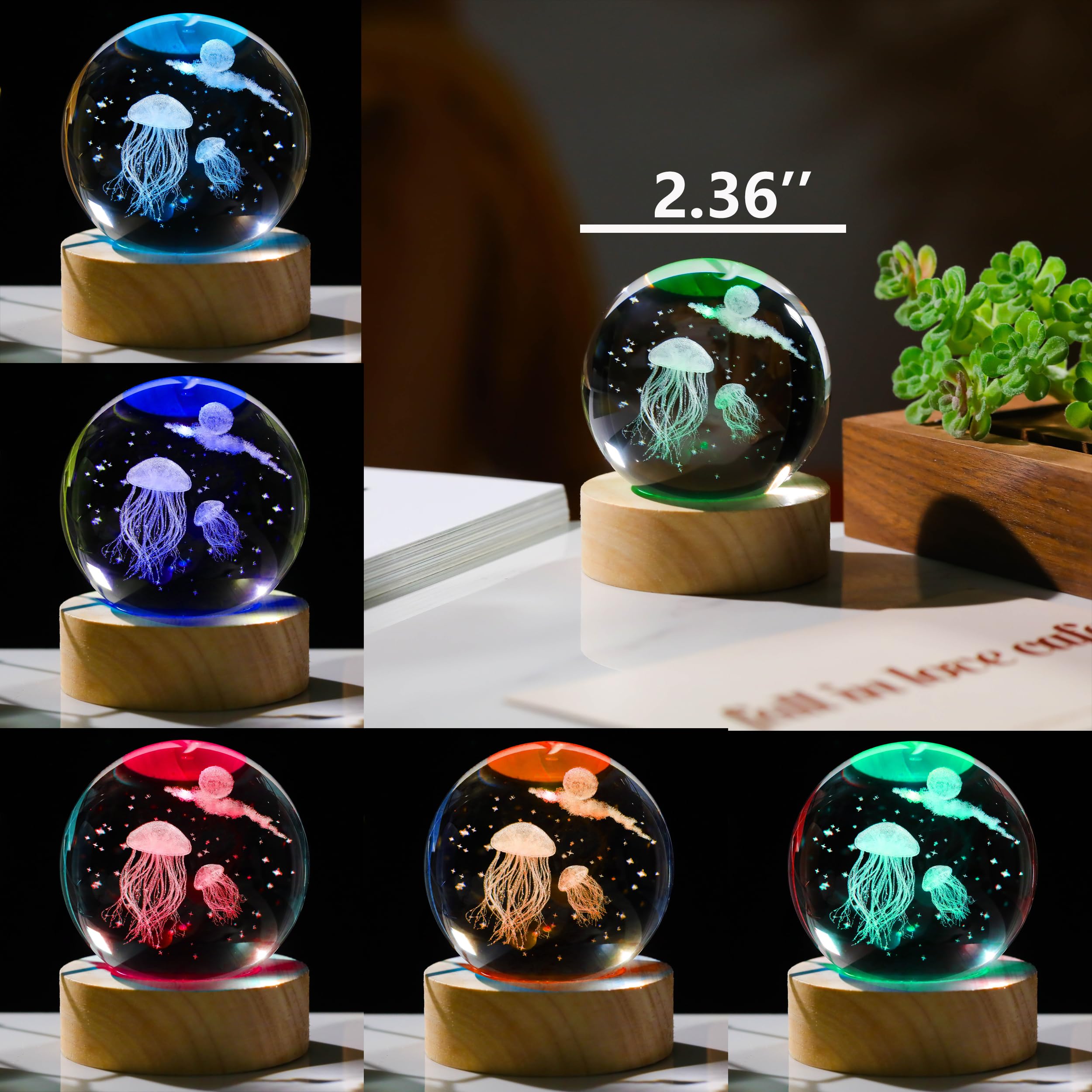 Amazon.co.jp: 3D クラゲ 女性用 クリスタル ボール 60mm - クラゲの