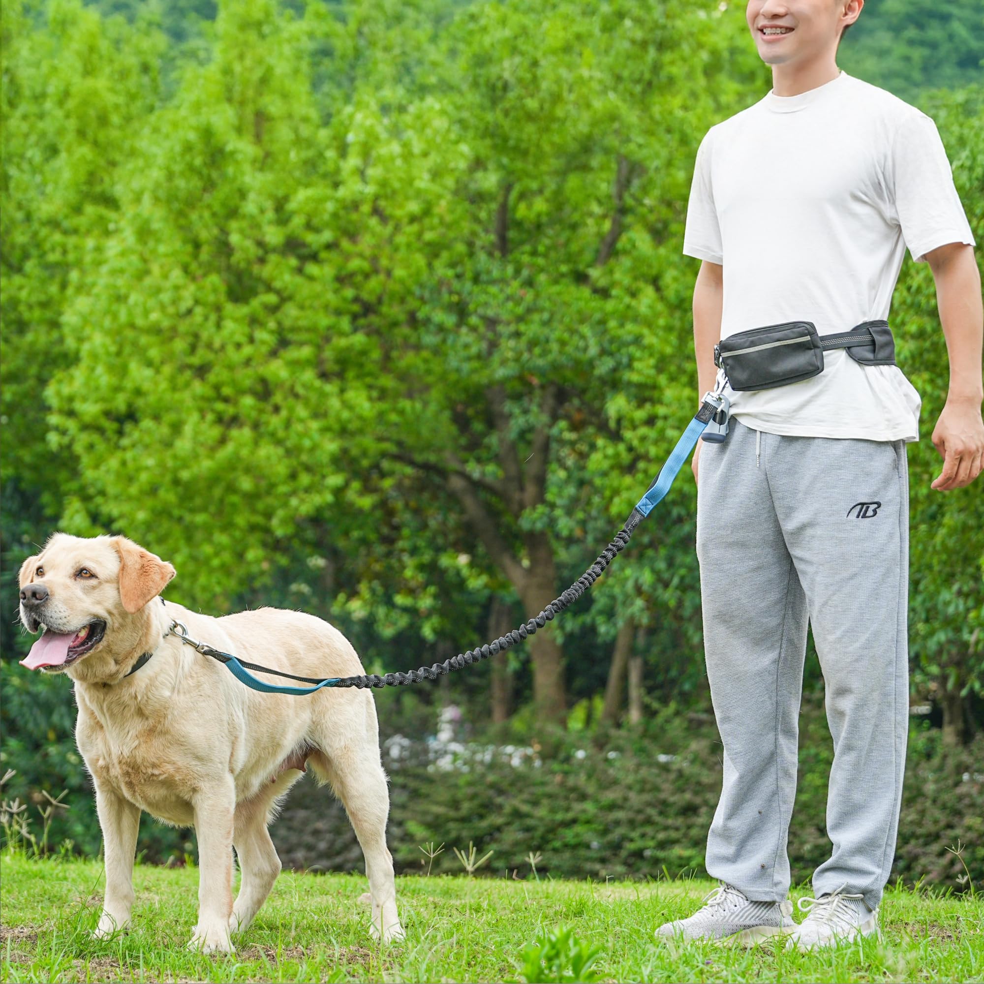 Hands-Free Dog Leash for Dogs up to 130 lbs – Heavy-Duty, Shock-Absorbing Bungee Leash with Zipper Pouch, Dual Padded Handles & Adjustable Waist Belt for Running & Walking – Sky Blue - image 6