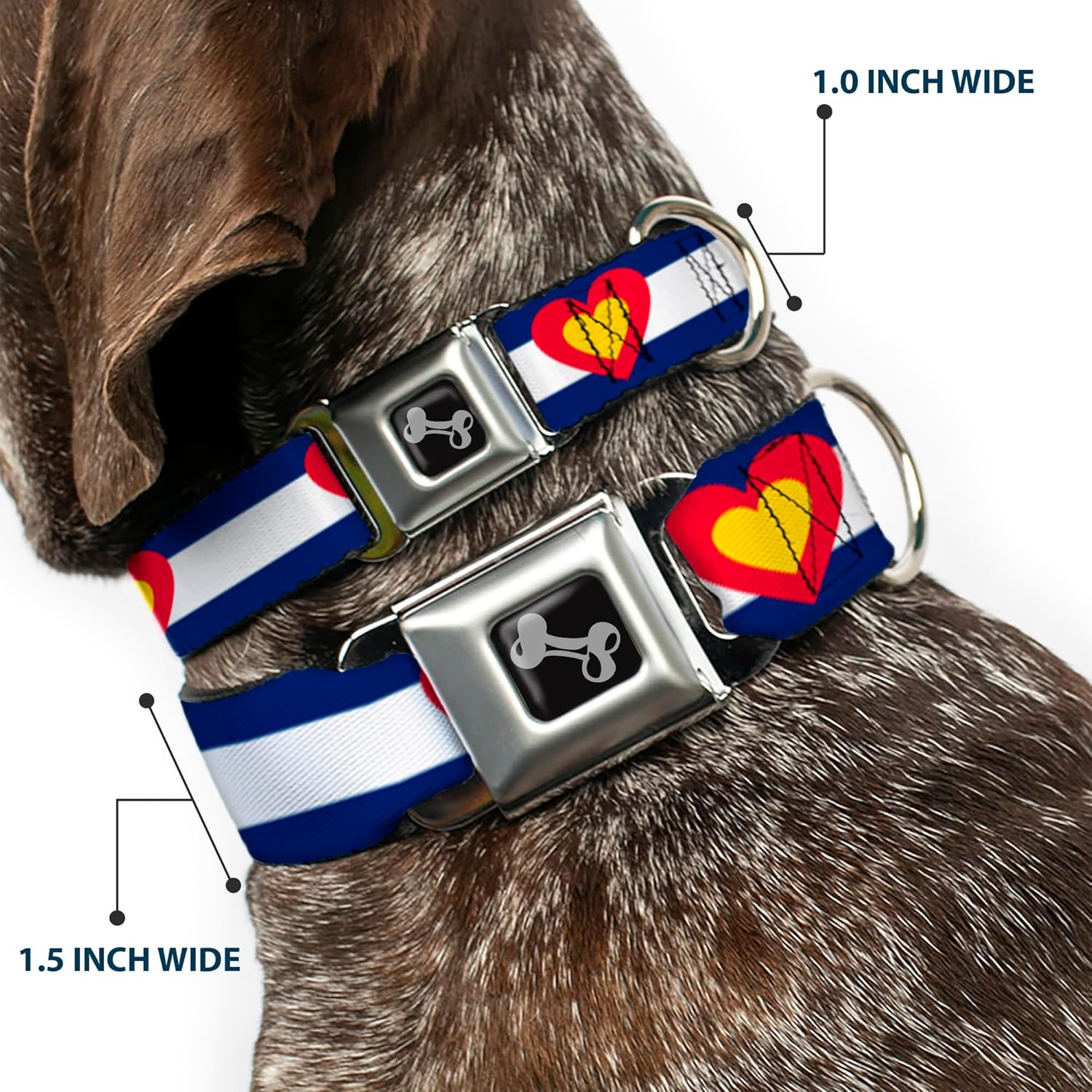 Buckle-Down 9-15" Colorado Heart Blue/White/Red/Yellow Dog Collar Bone, Small