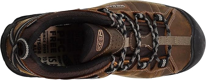 KEEN Men's Targhee 2 Low Height Waterproof Hiking Shoes