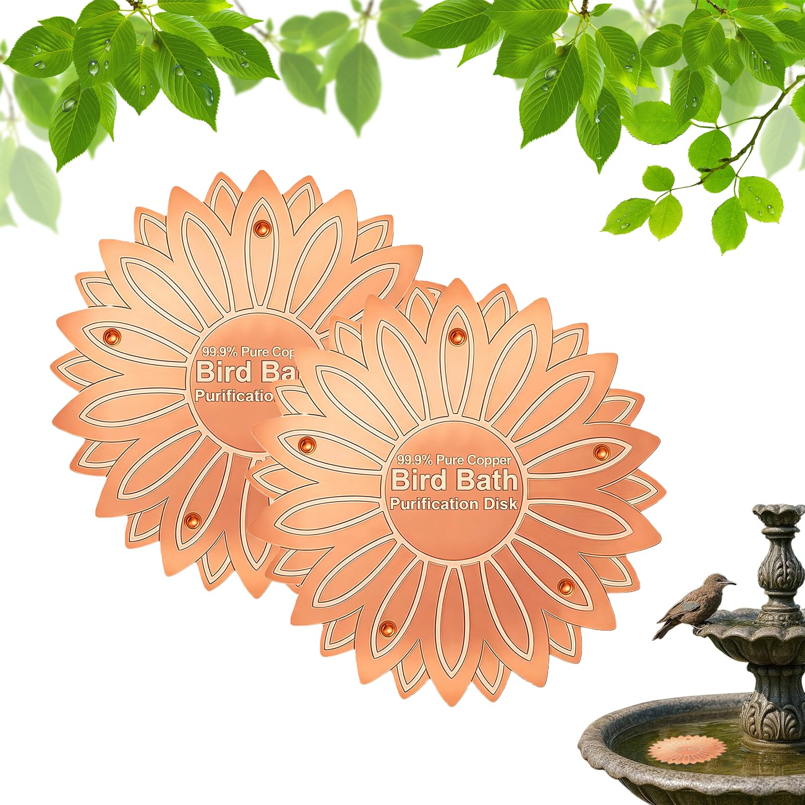 Bird Bath Copper Disk, 99.9% Pure Copper Cleaning Disk, 2x Triple Point Support Purification Disc, Self Cleaning Water Purification Disc, All Season Floral Purifications Panel for Backyard Courtyard