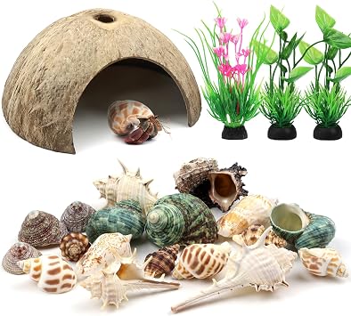 QUOZUO Hermit Crab Shells Natural Coconut Shell Hut Artificial Plants, 22 PCS Hermit Crab Supplies Seashells for House Hermit Crab Tank Habitat
