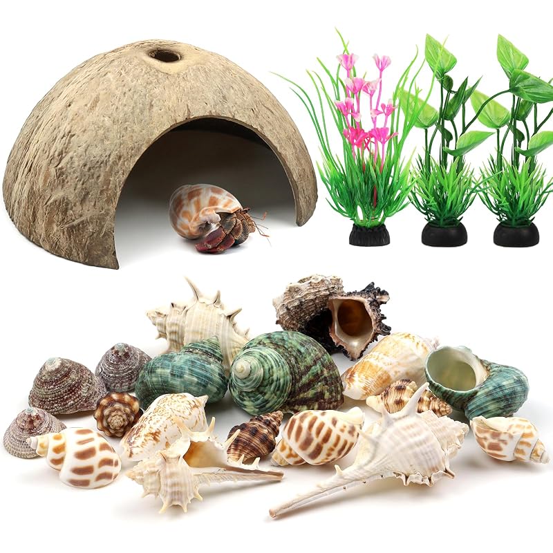Esconderijo para caranguejo-eremita com casca de coco, conchas naturais e plantas artificiais QUOZUO, 22 peças
