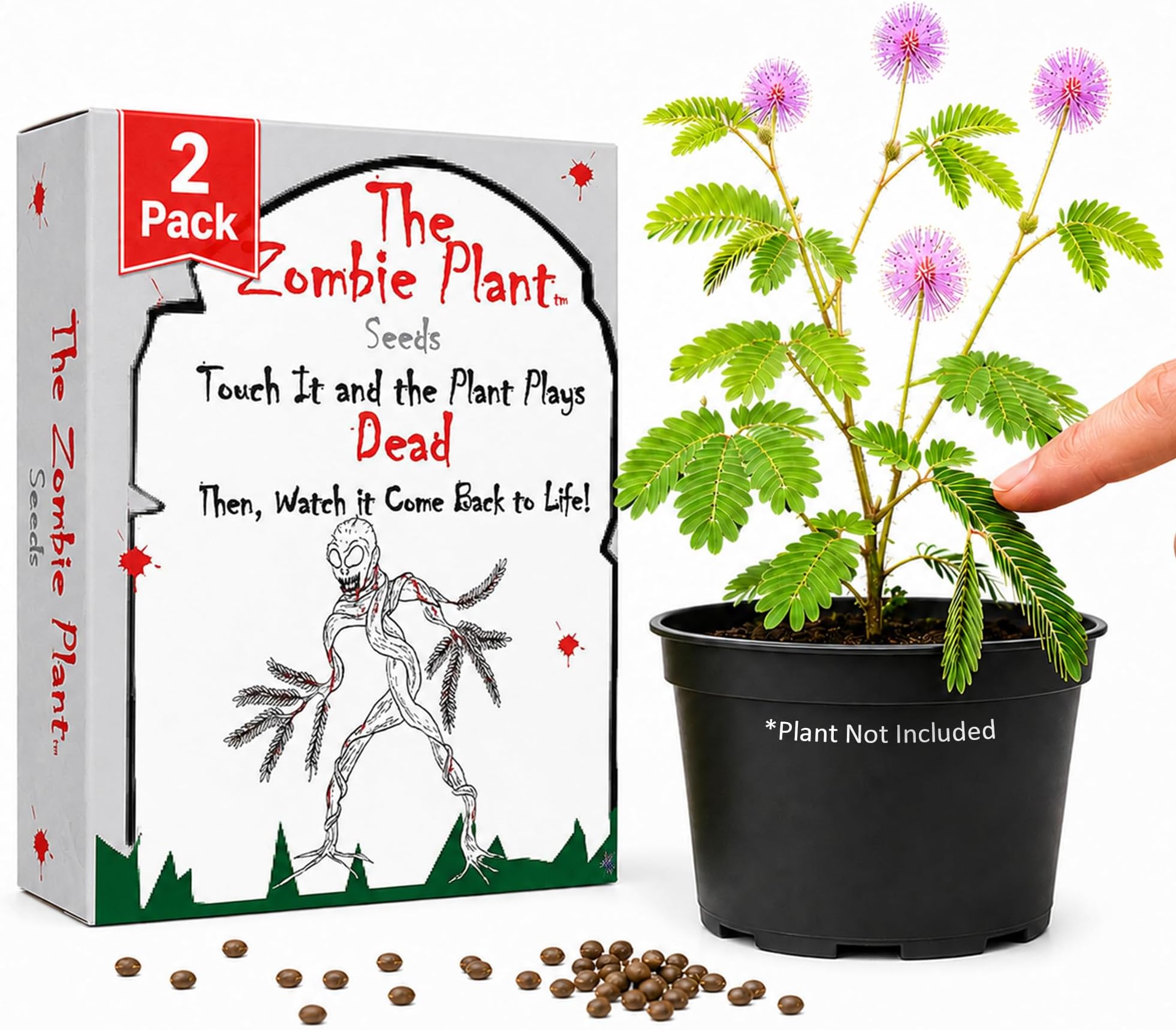 Zombie Plant Seed Packets โ Grow a Live Sensitive Plant that Plays Dead When Touched! Indoor Plant Seeds & Educational STEM Activity | House Plant Seeds | Unique Garden Seeds โ 2 Pack