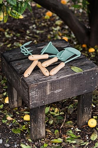 Miniatura 8 de Barebones Azada japonesa de deshierbe  Herramienta de jardín de azada  Herramienta de mano de acero inoxidable duradera para deshierbar y excavar