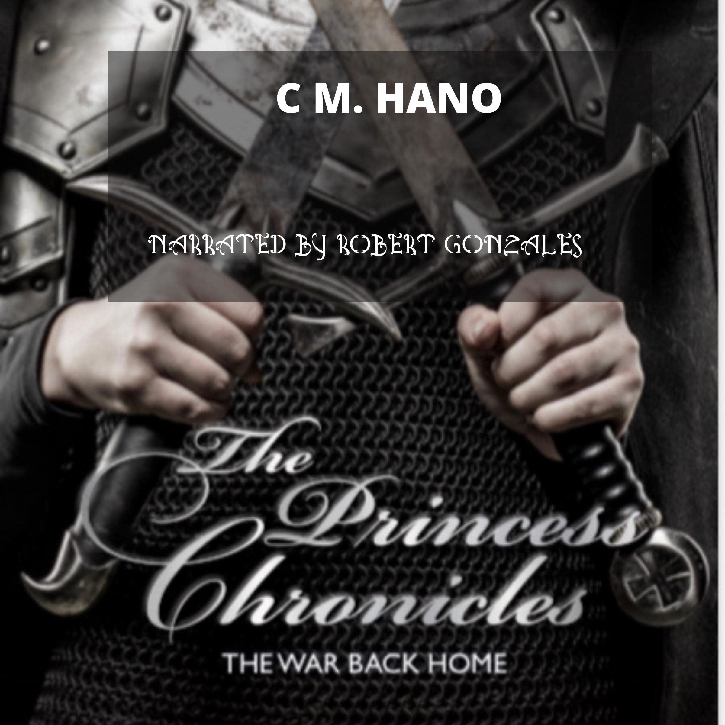 Cover art for The Princess Chronicles: The War Back Home