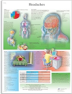 3B Scientific VR1714L Glossy UV Resistant Laminated Paper Headaches Anatomical Chart, Poster Size 20" Width x 26" Height,Yellow