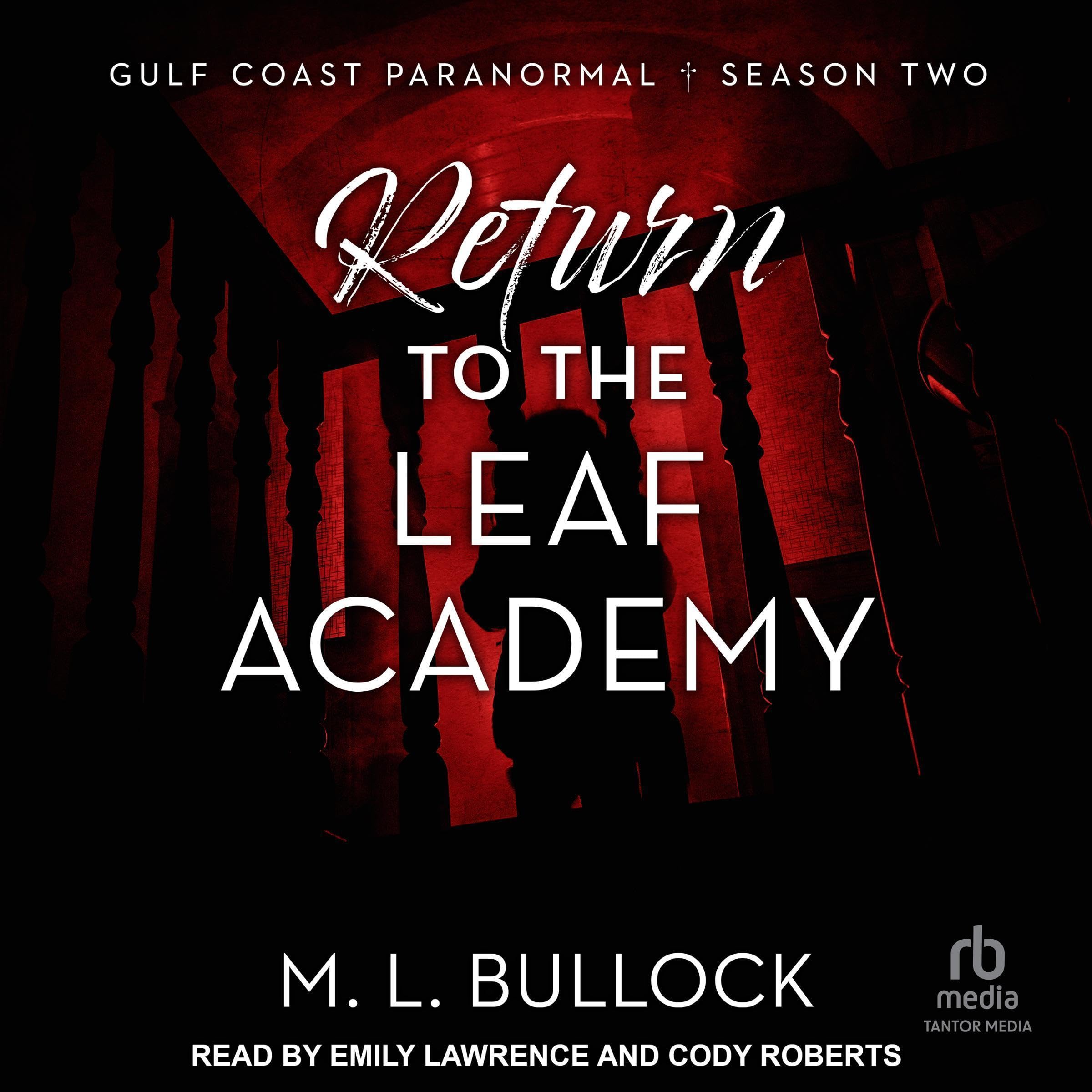 Cover art for Return to the Leaf Academy