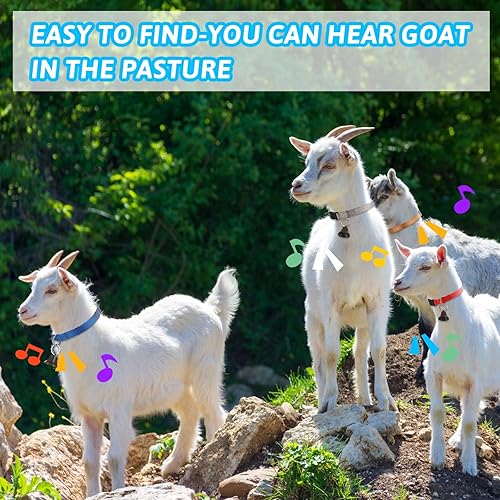 Miniatura 5 de 12 juegos de collares de cabra con campanas, caballo, oveja, pastoreo, campanas de vaca, collar ajustable de nailon para perro con hebilla de