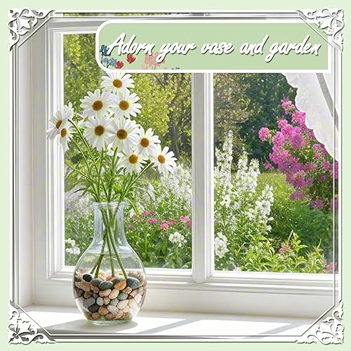 Miniatura 6 de Rocas naturales de río de 11 libras, guijarros pulidos para plantas de jardín, piedras decorativas de durazno de 0.3 a 0.8 pulgadas, ideal para