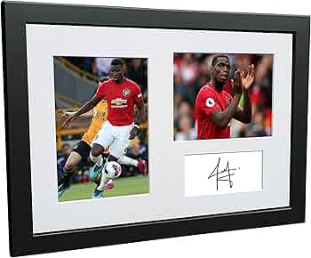 81ebSLfW21L._AC_UF350,