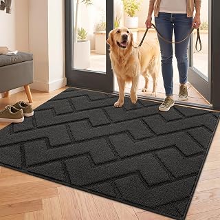 Biscpro Fußmatte Innen Außen 80x100cm Waschbar Eingangsteppich Innen Schmutzfangmatte rutschfest,Türmatte Innen Teppich Für Eingang, Patio, Flur, Garten, Innen und Außen -Dunkelgrau