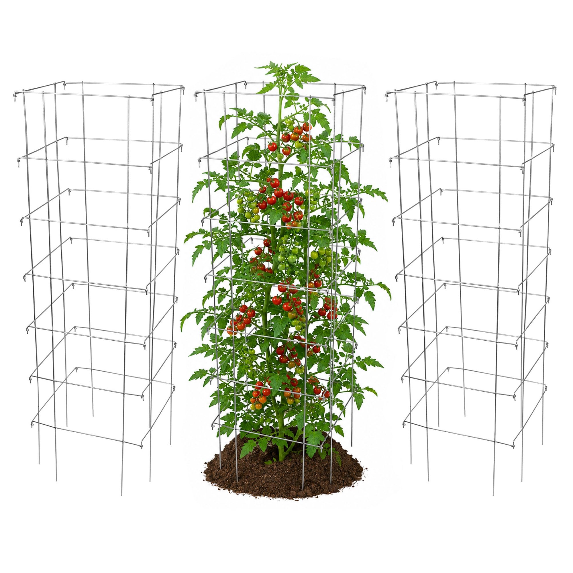 Amazon.com : Garden Elements Square Tomato Cage, 58 Inch (Pack of