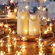 10ft 30 LED Fairy Flower String Lights Battery & USB Operated Warm White | Cute Soft cherry blossom Lamp with Timer for Indoor Bedroom Tent Loft Patio Wedding Party Ramadan Classroom Dorm Decorations