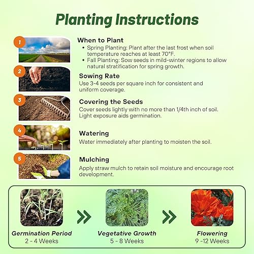 Miniatura 4 de Outsidepride 100 semillas anuales Eschscholzia California Poppy Copper Swirl Garden Flower Seeds
