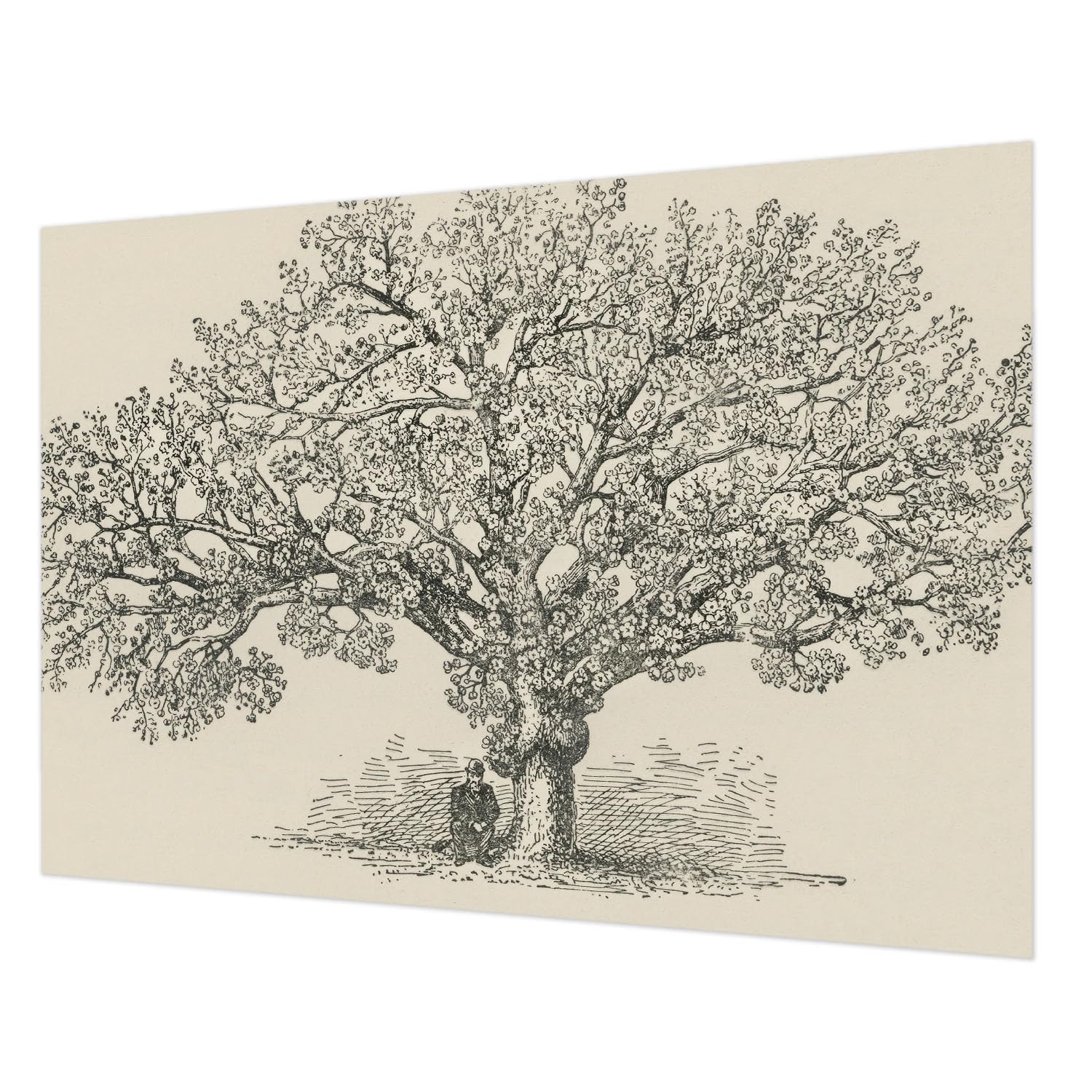 Papier peint intissé 208x146 cm avec illustration d'arbre pour salon
