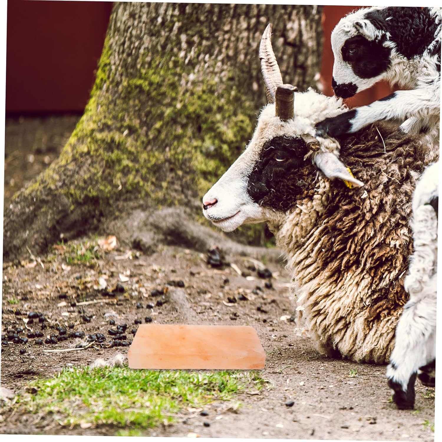 Nutrient Rich Lick Salt Block for Cattle Sheep Horses Portable Salt Block Enhances Digestion Feed Efficiency Durable Mineral Rich Supply