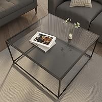 Modern Square Glass Coffee Table for Living Room - Tempered 6mm Glass Top, Sturdy Metal Frame, Small Space Friendly, 26.7x26.7x15.7in Gray Black, 5-Min Assembly