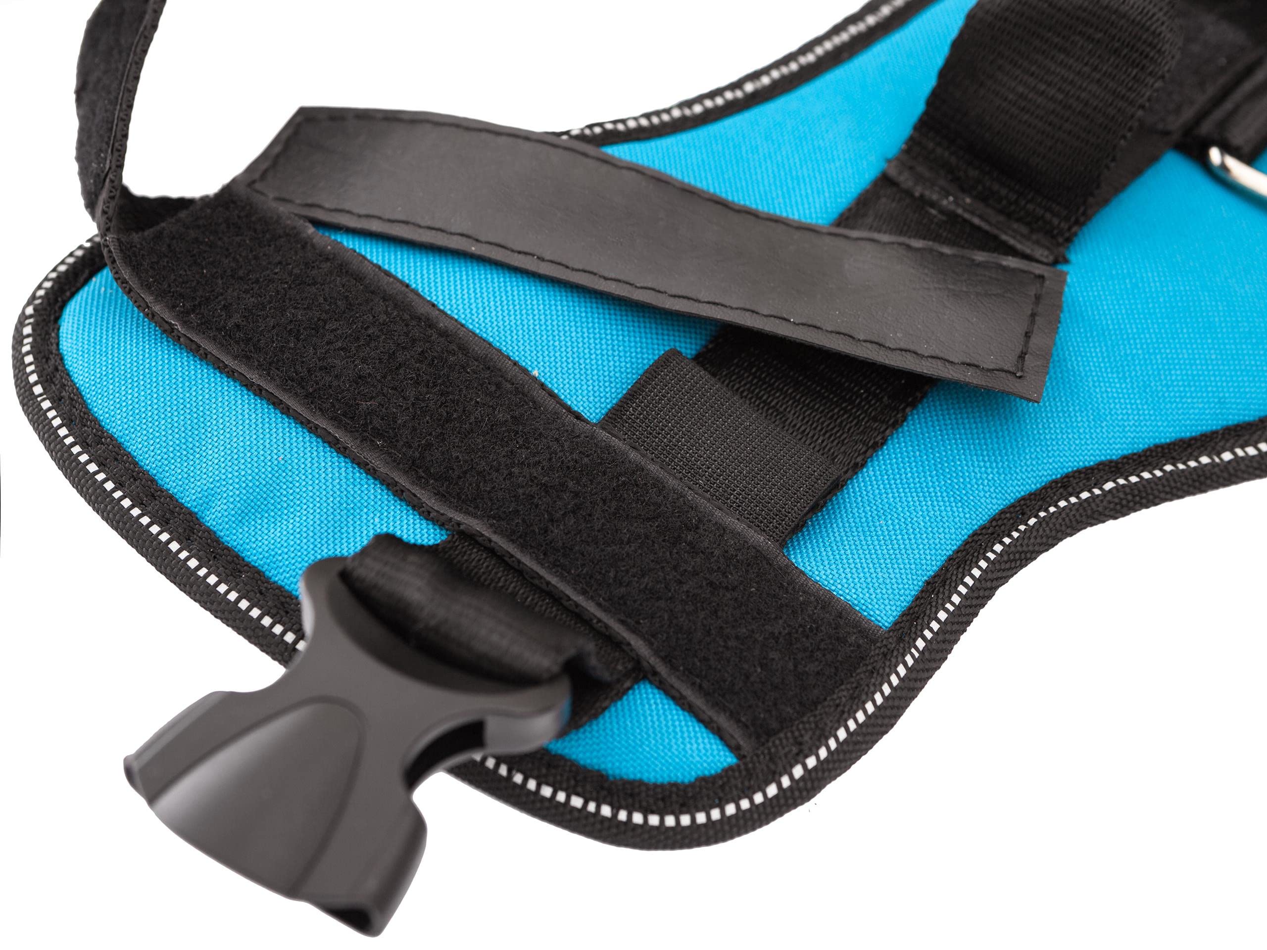 PillowPrim Geschirr für Hunde, Drucklos, Hundegeschirr, Reflektierend, Beschriftungen, R4: 73-97 cm, Blau