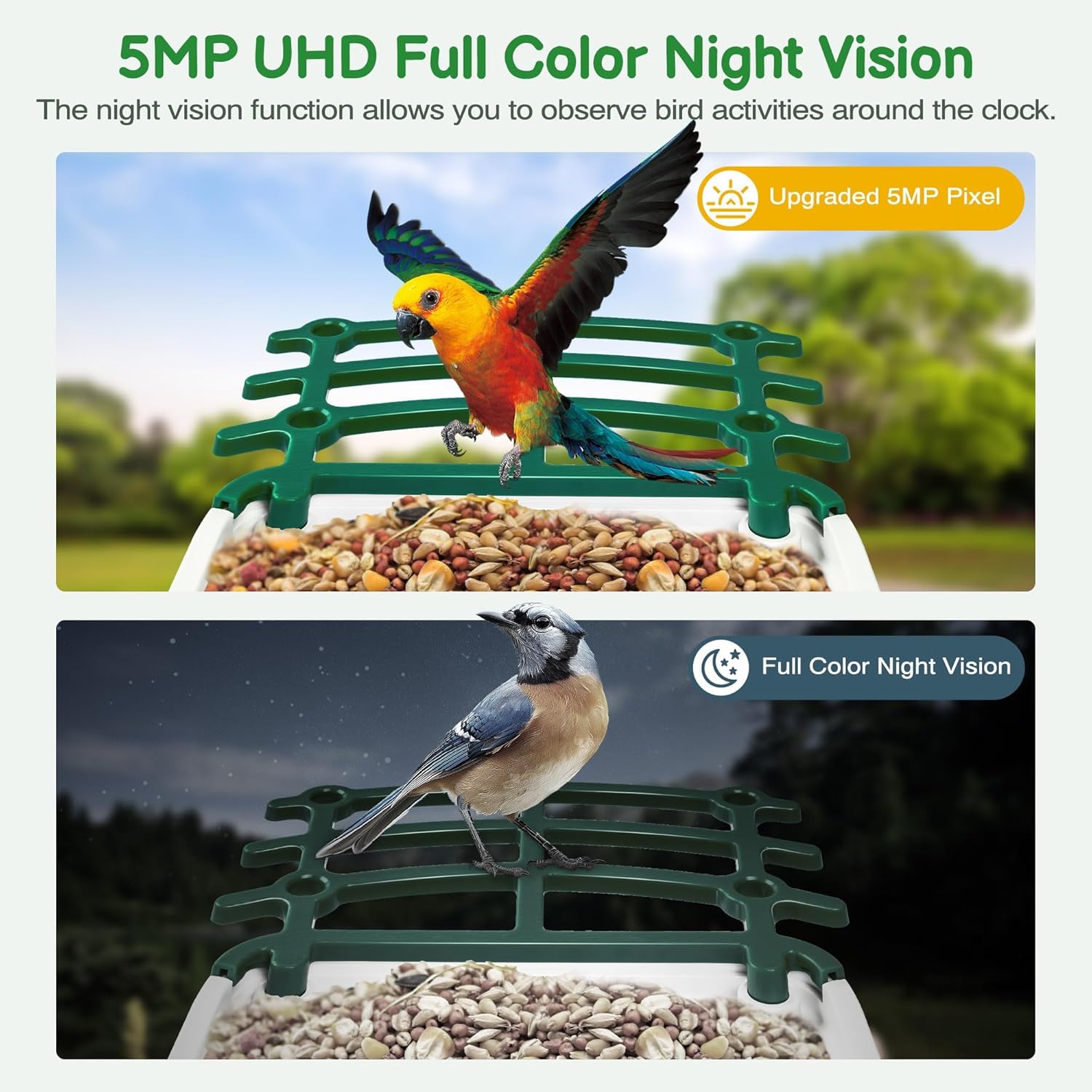 Smart Bird Feeder with Camera, Birds Feeders for Outdoors with AI Identify Species Solar Panel, Smart Bird House with Live View, Ideal Gift for Family and Birds Lovers, Green