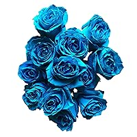 Vista 6 de Rosas arcoíris recién cortadas de Flower Explosion