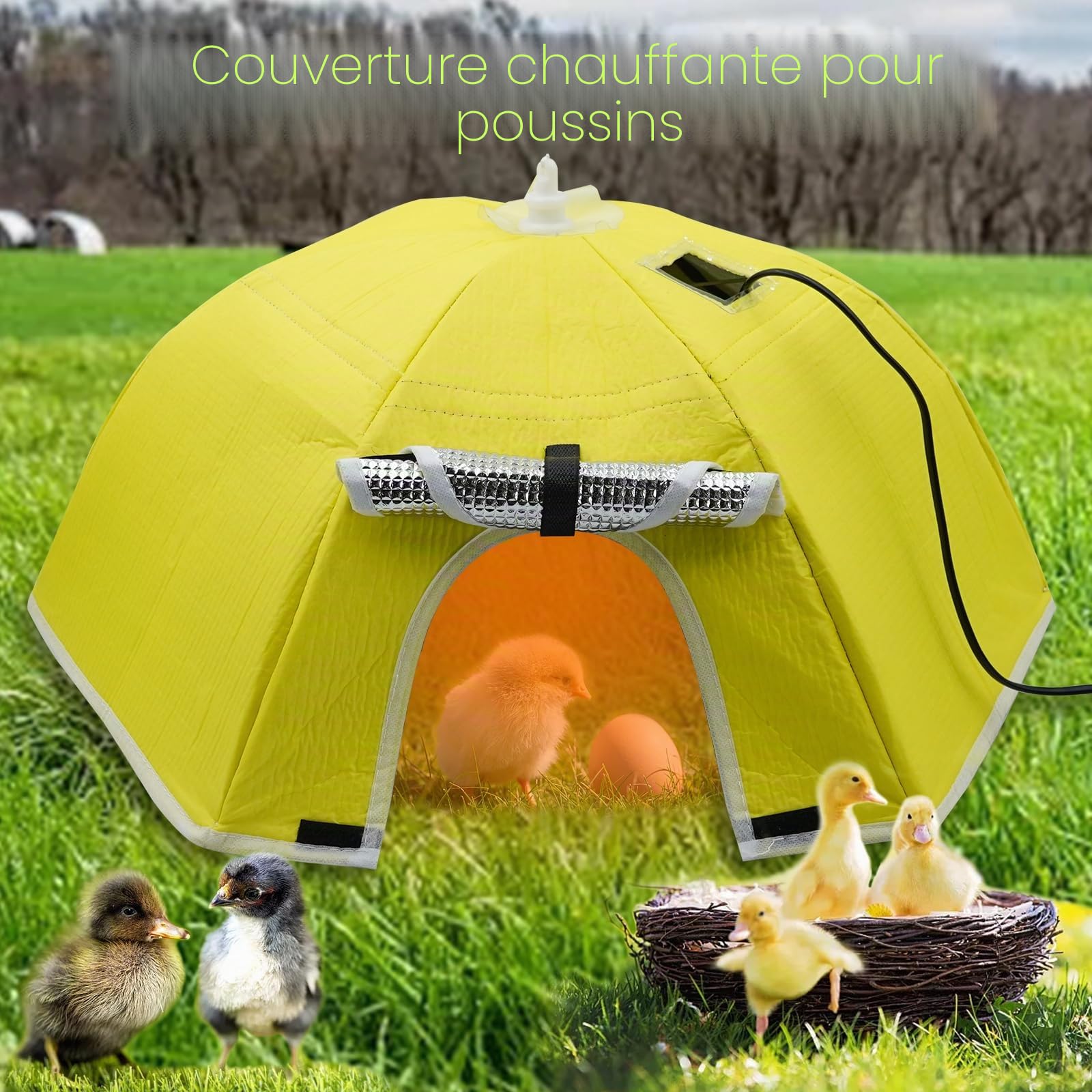 Plaque Chauffante Poussin avec Régulateur 21,65 x 21,65 x 8,66 cm, Tissu Imperméable, Fenêtre de Visualisation Transparente, 0°C à 80°C Réglable en Chaleur, Parapluie Poussin Pliable, Jaune