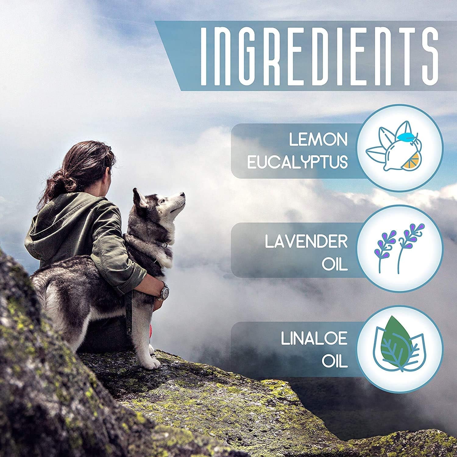 Flea and Tick Prevention for Dogs - Flea Collar : Pet Supplies