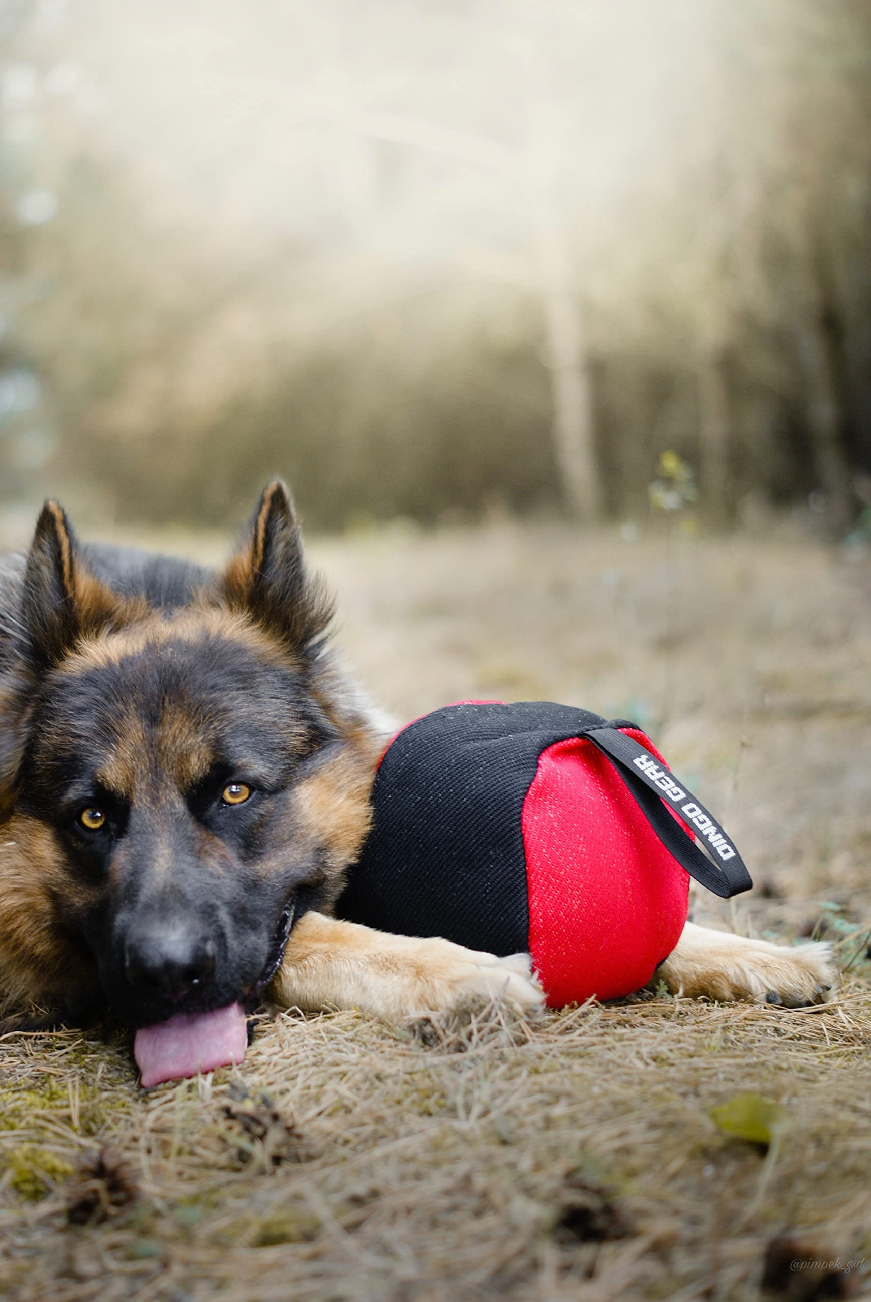Dingo Gear Trainings-Spielzeug Ball 19 cm Schwarz-Rot mit Griff