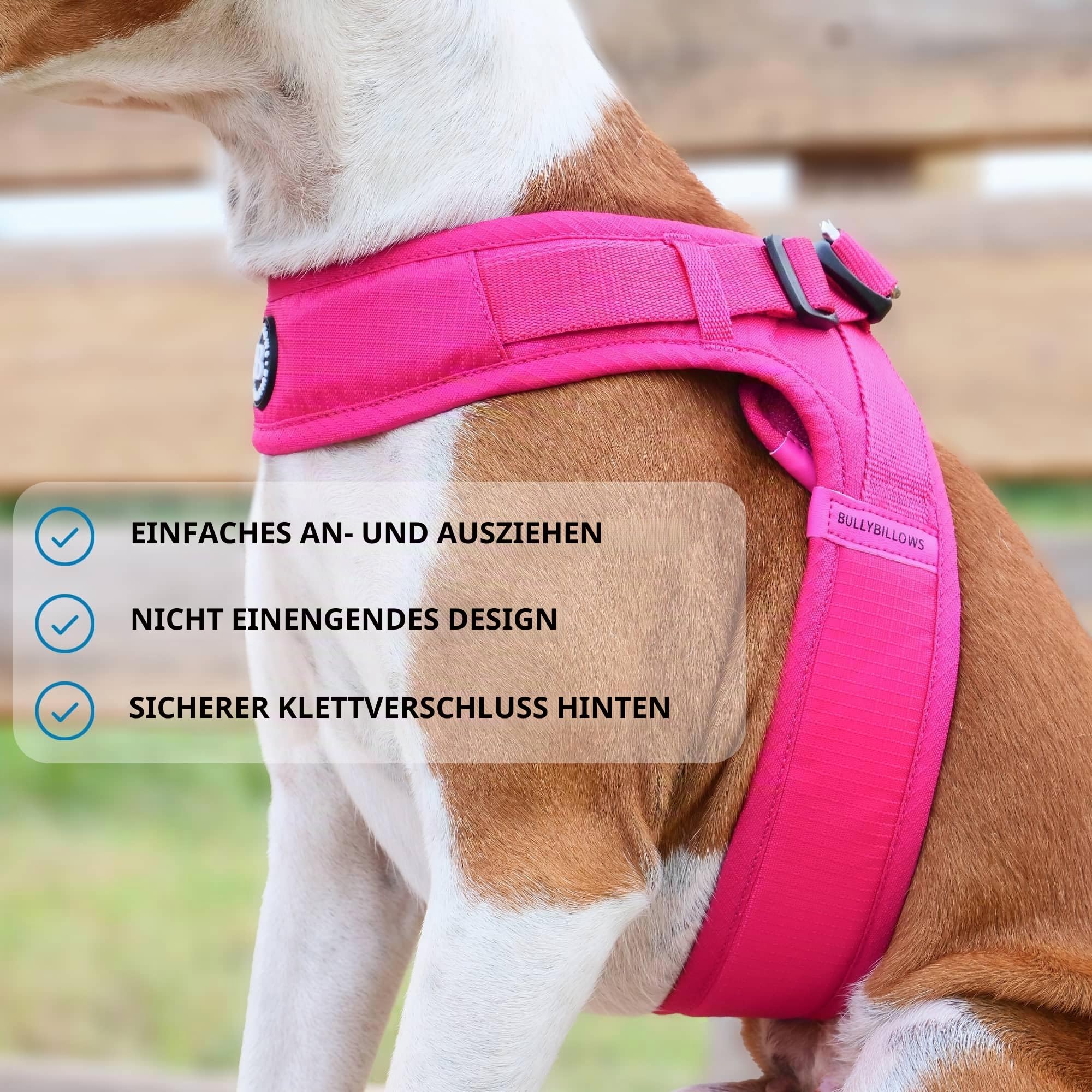 BullyBillows Boomerang Hundegeschirr – Türkis, Größe S