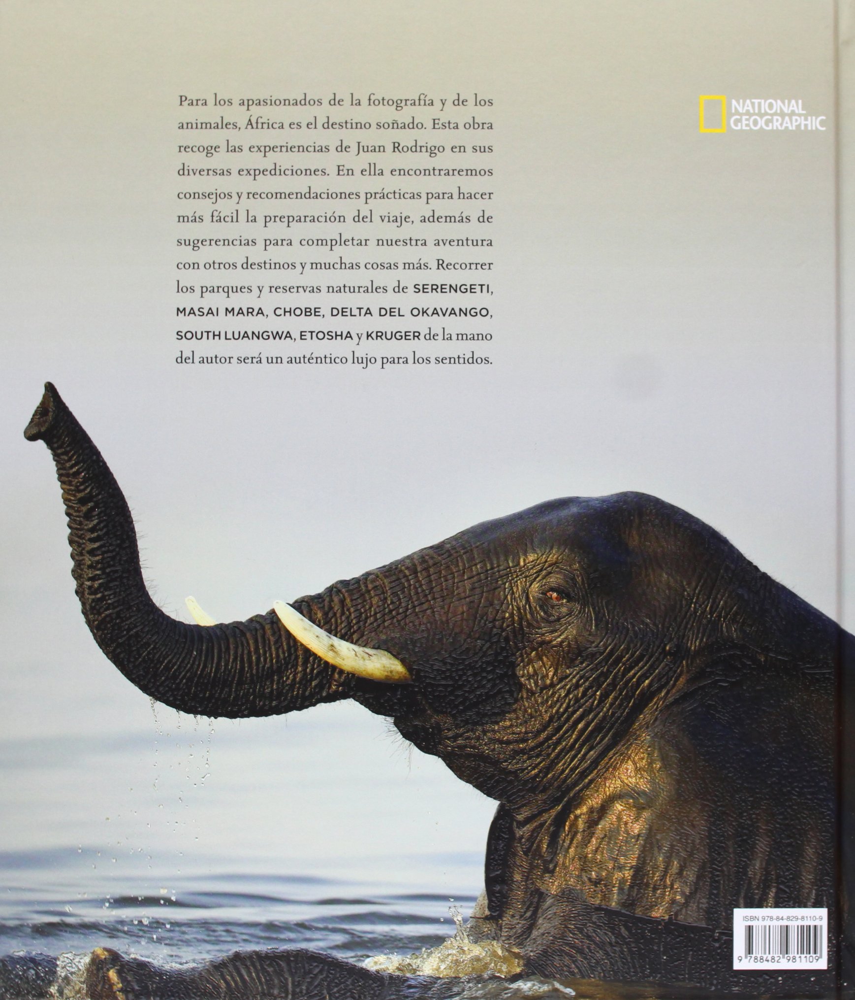 Viaje a África: Los mejores destinos para ver fauna salvaje (Grandes obras ilustradas, National Geographic)