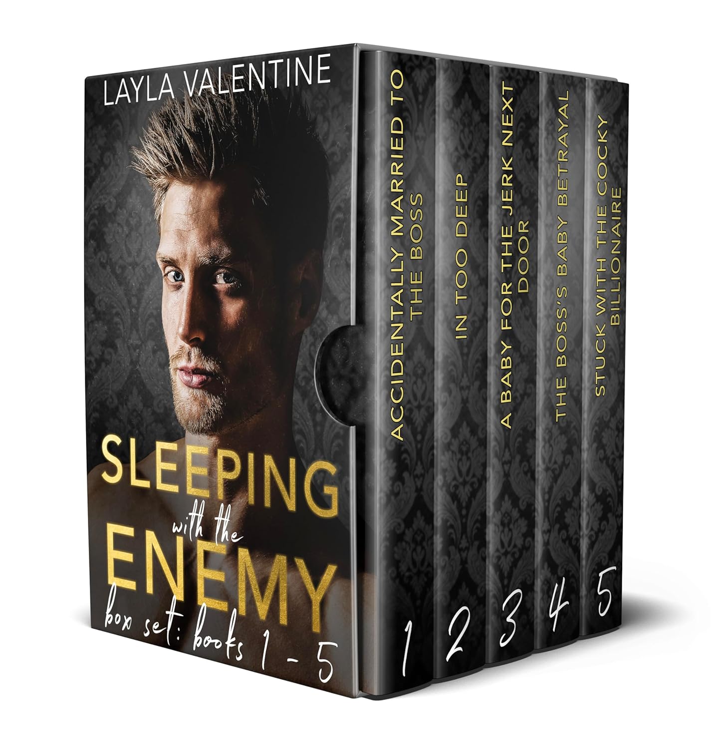 Sleeping With The Enemy Box Set: Books 1 – 5