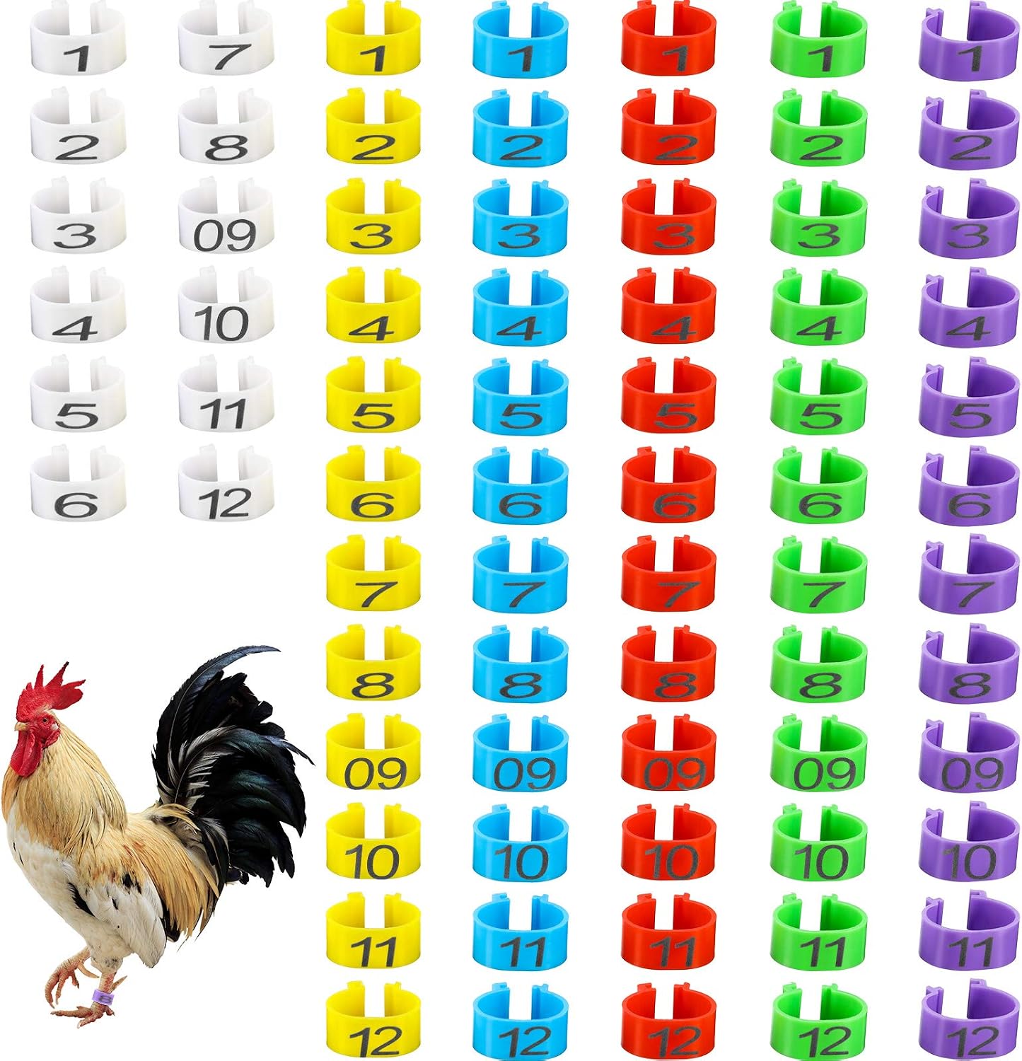 Weewooday 72 Pieces Chicken Leg Rings Multiple Colour Chicken Leg Bands Numbered Tag Markers Clip On Poultry Ankle Bands for Gamefowl…