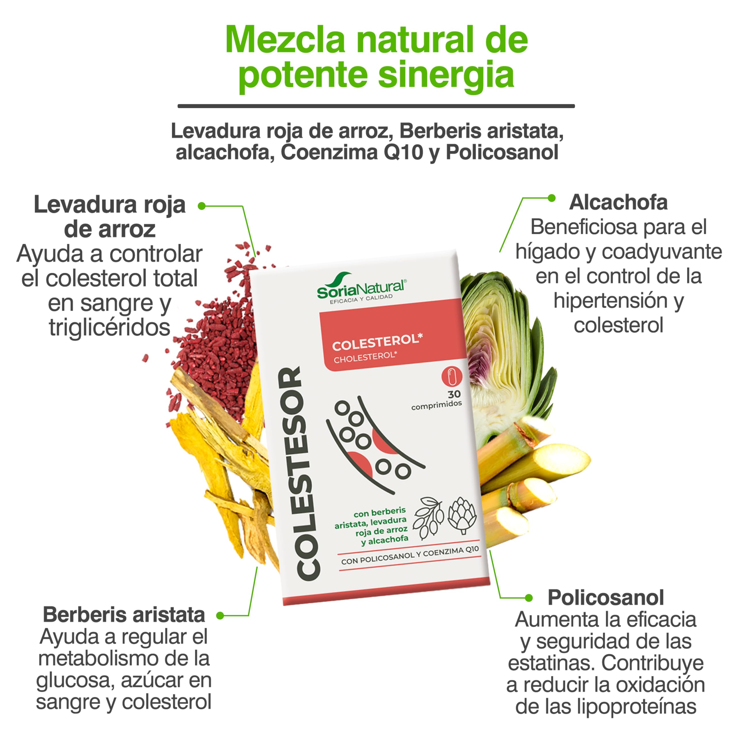 Soria Natural COLESTESOR - Levadura de Arroz Rojo, Berberis, Alcachofa, Coenzima Q10 y Policosanol - Complemento Natural para Controlar Colesterol y Trigliceridos - PACK2