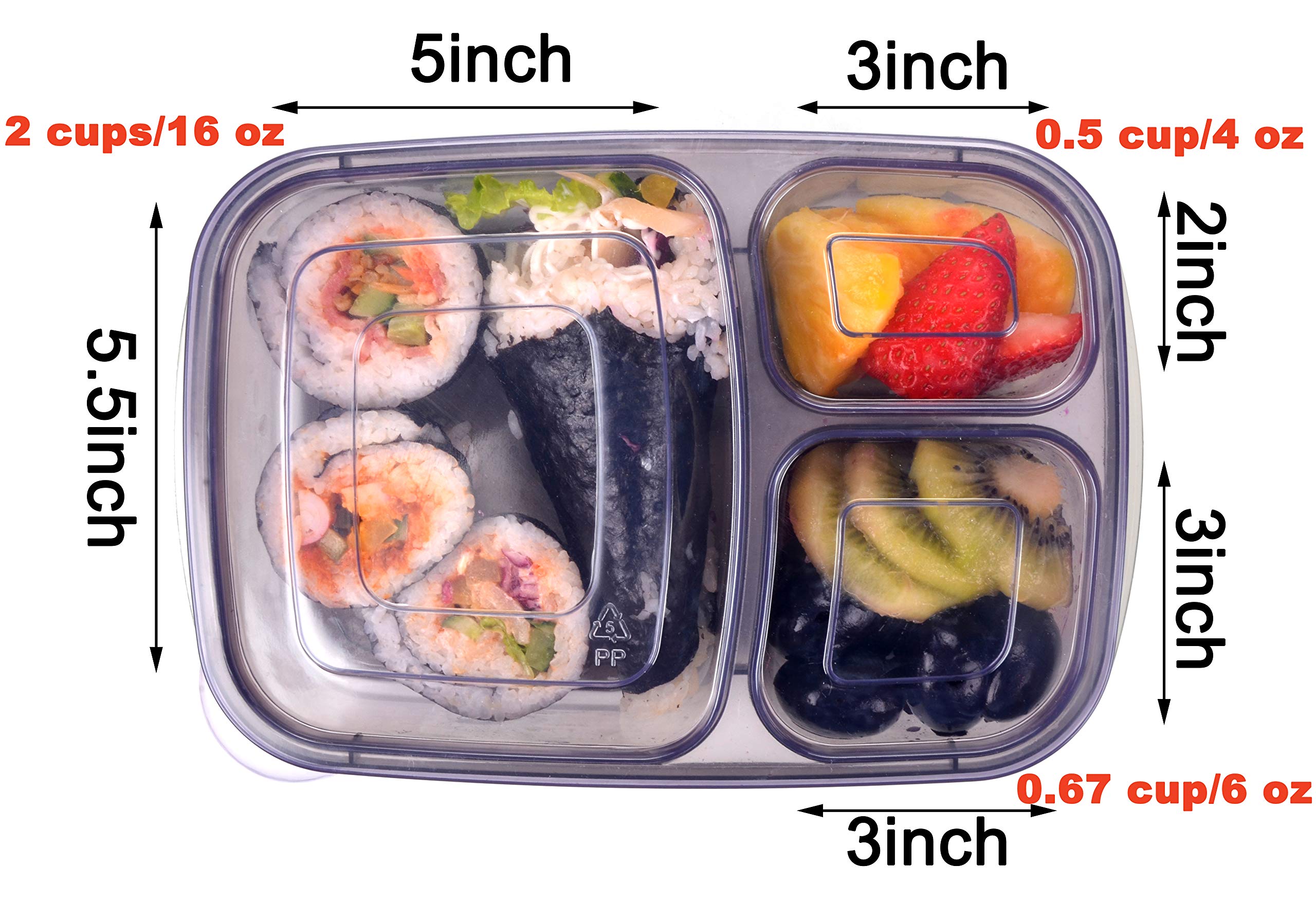 8 Lunch Box Bento Youngever Con 3 Scomparti – 450 Ml, Divisi, In Plastica BPA Free, Lavastoviglie E Microonde