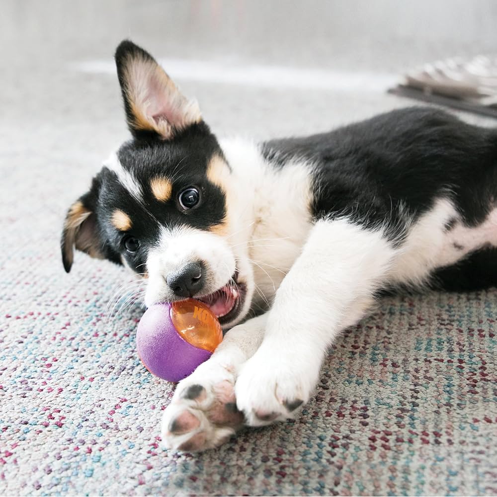 専用 スクイーズ スクイーズ | STORES