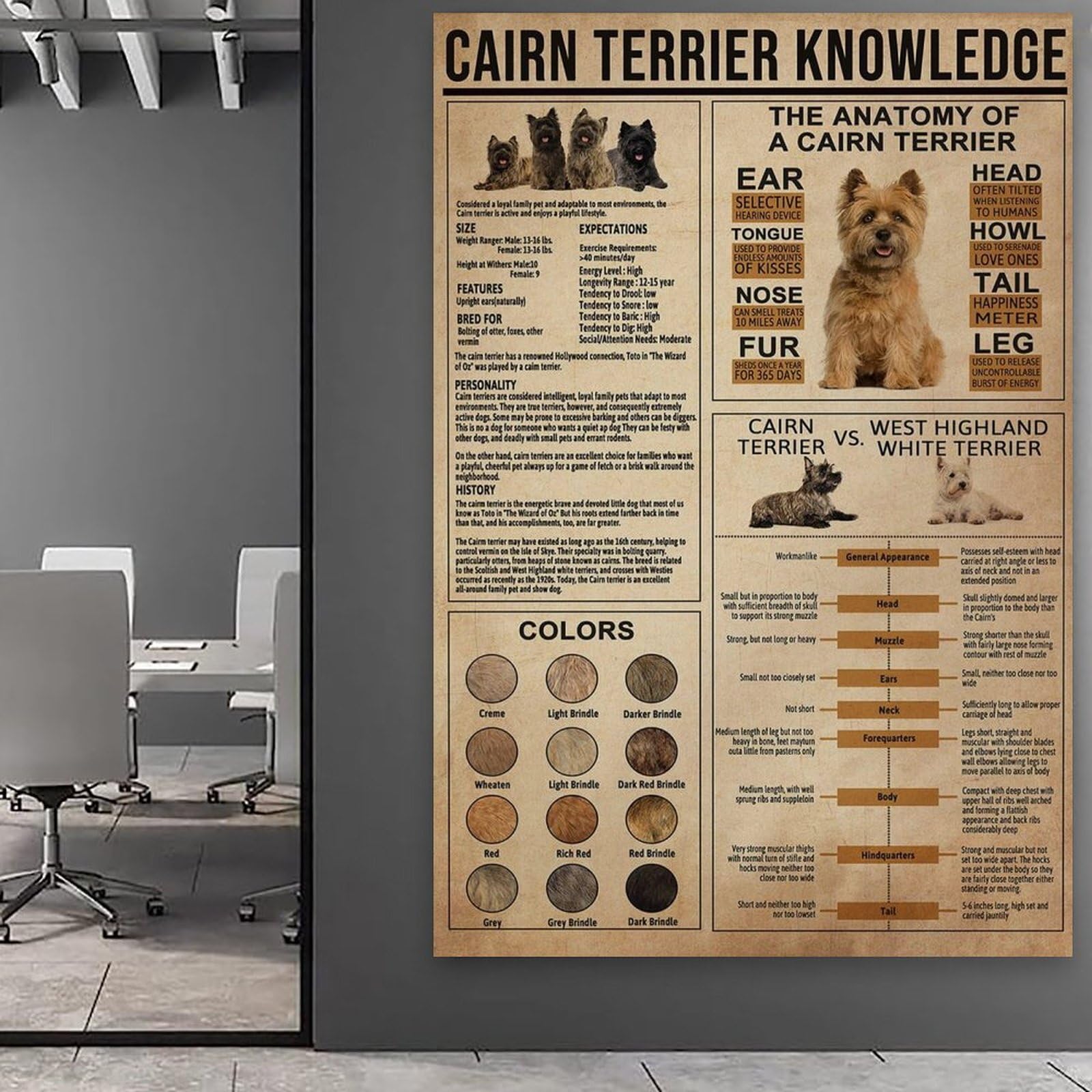 generisch Cairn Terrier Knowledge. Impresiones modernas en lienzo, pinturas decorativas para habitación de niños o niñas, murales para sala de estar y pinturas con motivos navideños 20 x 30 pulgadas