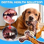 2 Paquet de jouets pour chien Chew pour les brochettes agressives, indestructible durable Nylon Dog Bones Dents Nettoyage de jouets de Chew à garder moyen & Gros chiens occupés