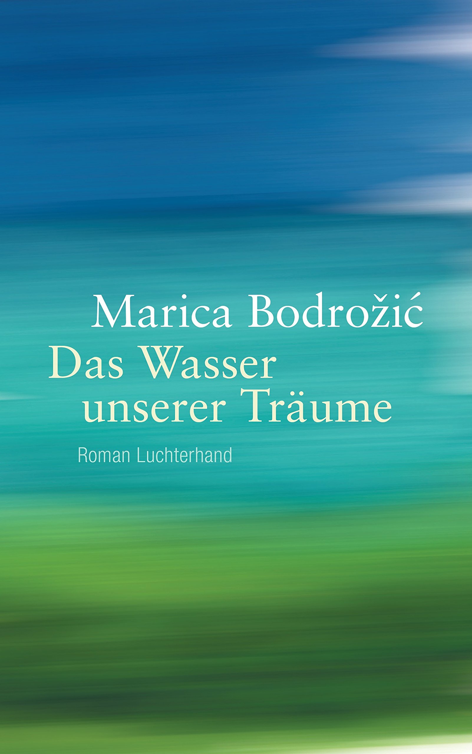 Das Wasser unserer Träume: Roman