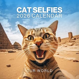 Cat Selfies Cat Calendar 2026 - Large 12 Month 2026 Wall Calendar - Month to View Funny Wall Planner Made by Our World