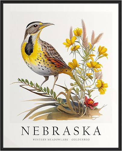 Impresión artística de aves del estado de Nebraska, póster de Nebraska decoración de pared, póster de viaje de mapa del estado de Nebraska,