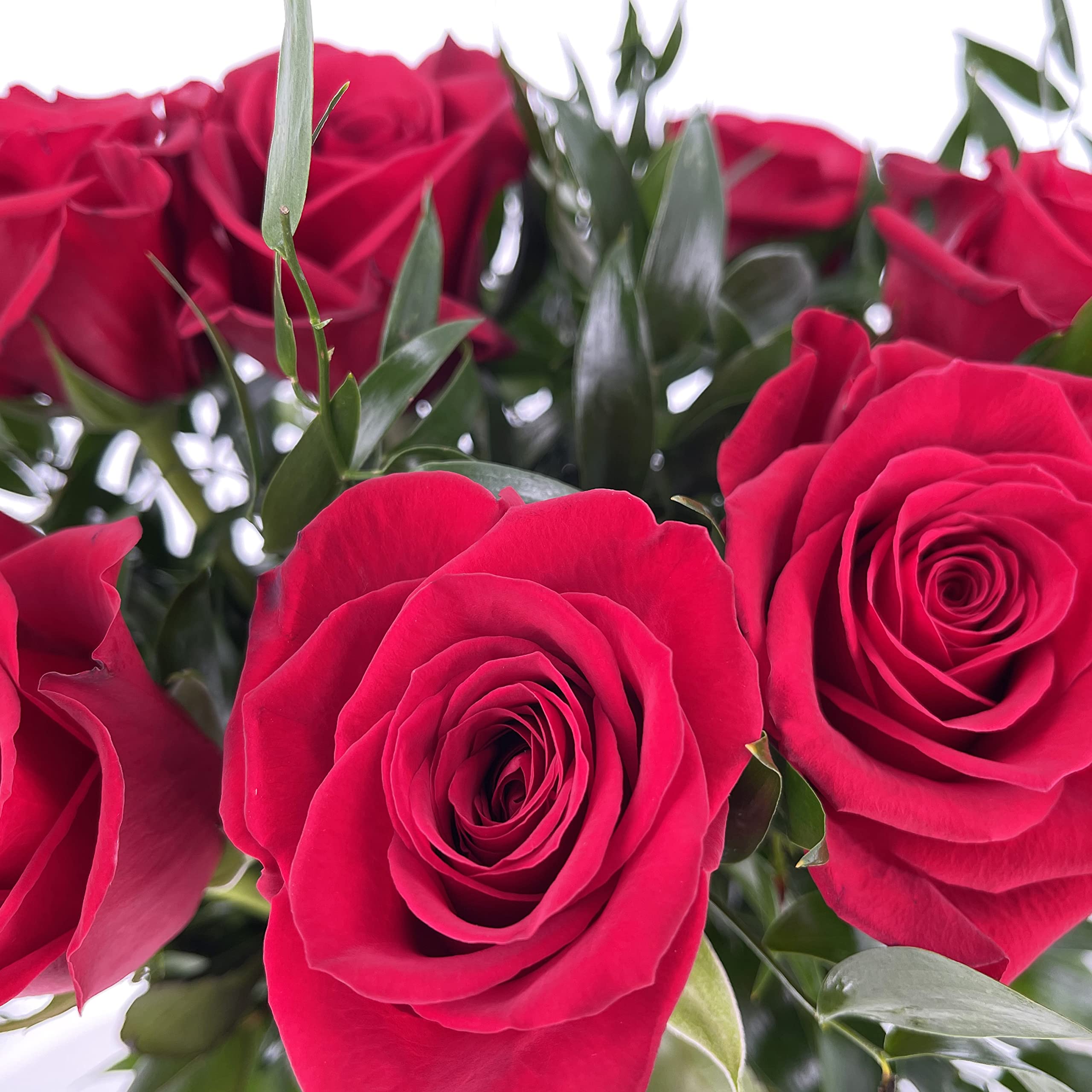 KENTIS - Bouquet di Rose Rosse Vere - Fresche a Stelo Lungo 50 cm a Domicilio Con Biglietto Personalizzato - 9 Rose
