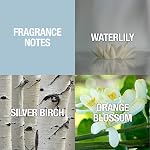 Shi by Alfred Sung for Women - 3.4 Ounce EDP Spray