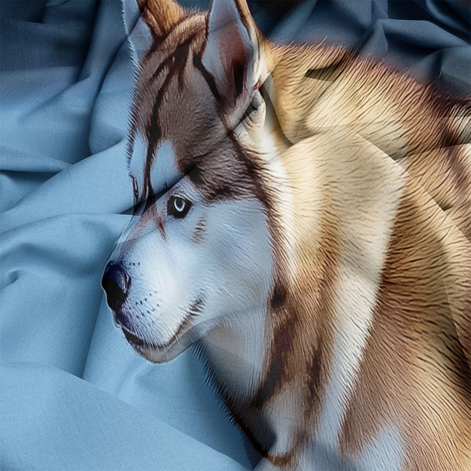 2PCS Black Duvet Cover Set, Animals Husky On Ice Pattern Bedding with Zipper Closure, Duvet Cover Twin Size Print for Girls Kids and Teens Home Décor